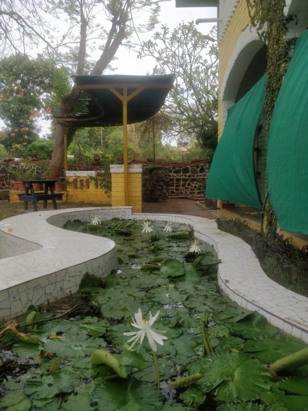कब करेंगे हमहमारे “गेस्ट रूम” कोआबाद ?